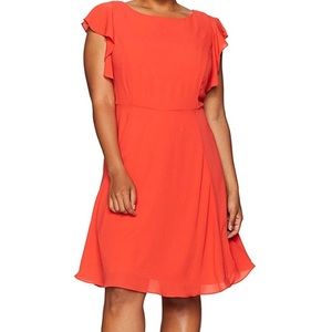 NWOT Julia Jordan flutter fit & flare Stunner!